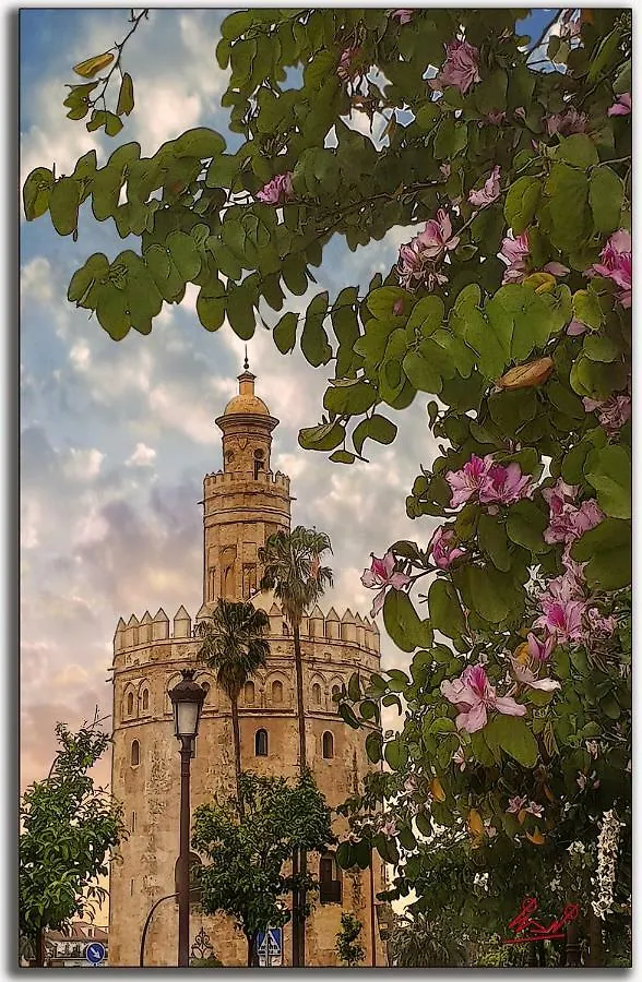 Rincon De Nati Triana Daire Sevilla